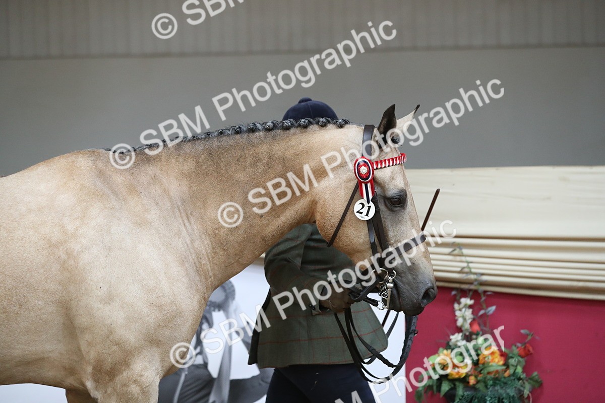 SBM_04914 - Class 8R- Regional -IH Veteran
