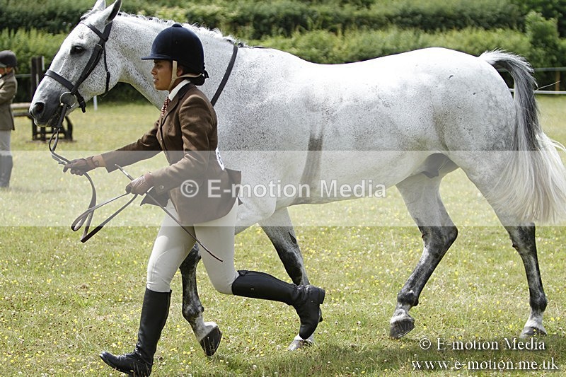 BVR160717-1847 - Ring 3 BVRC Show 16/07/17