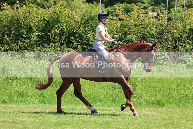 3E7A8057 - Working Hunter Championship