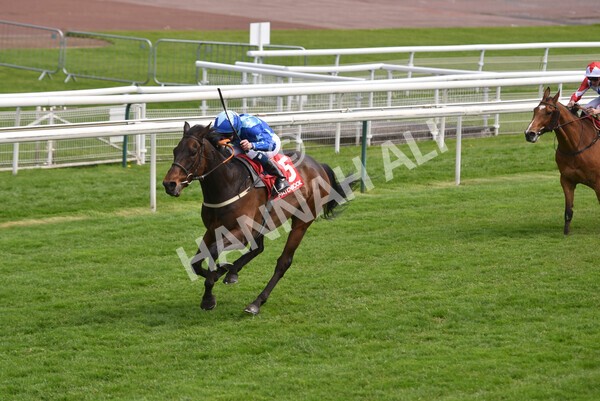  - Race 3 2.40pm The Matchbook Betting Podcast Hambleton Stakes