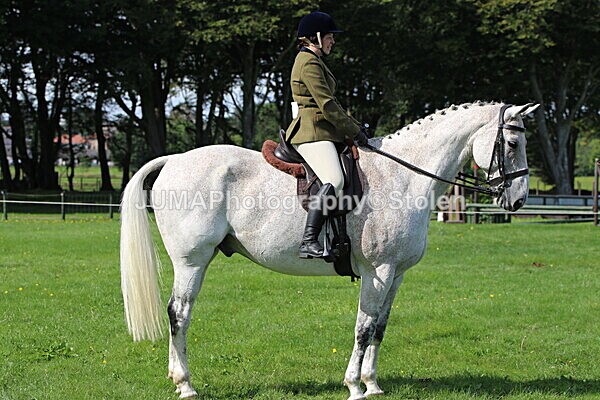 SIAL6456 - Ring 1 & 3