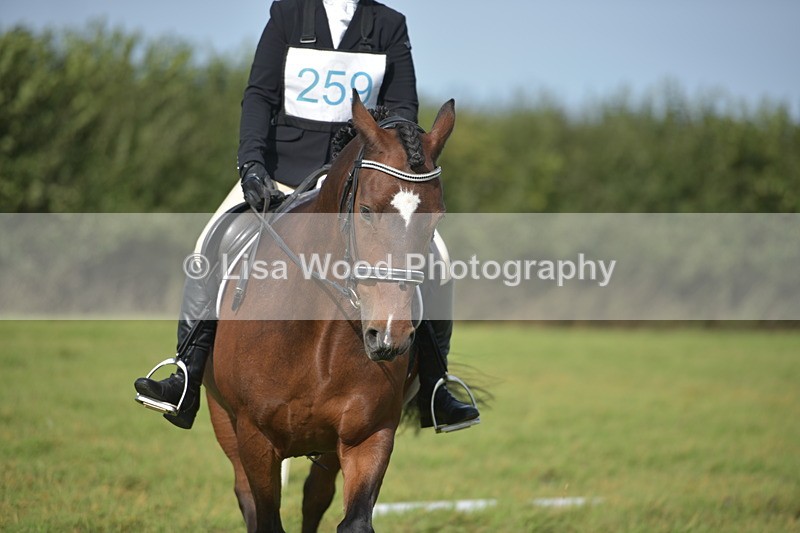 RAY_7735 - Class 2B: Trekenning Open: Dressage