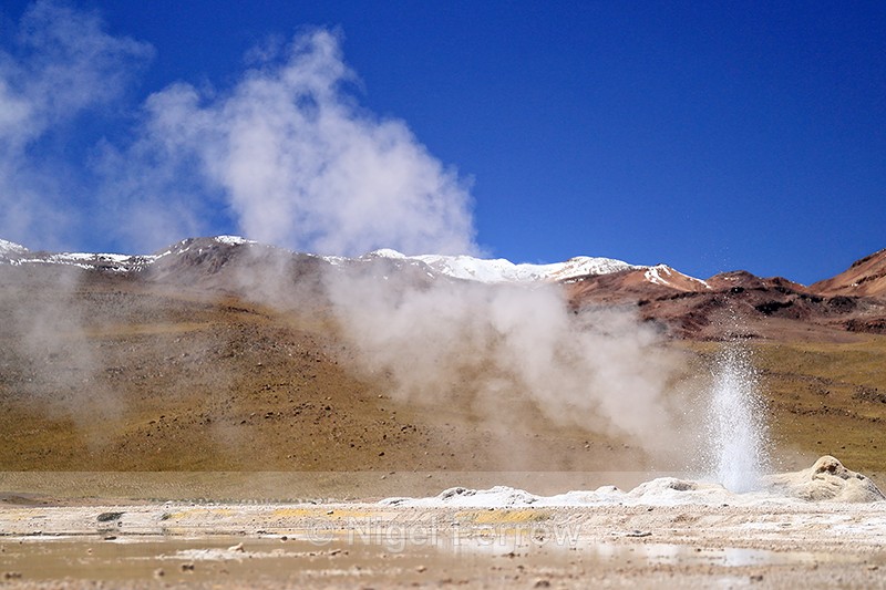 Geyser erupts, El Tatio, Chile - Chile