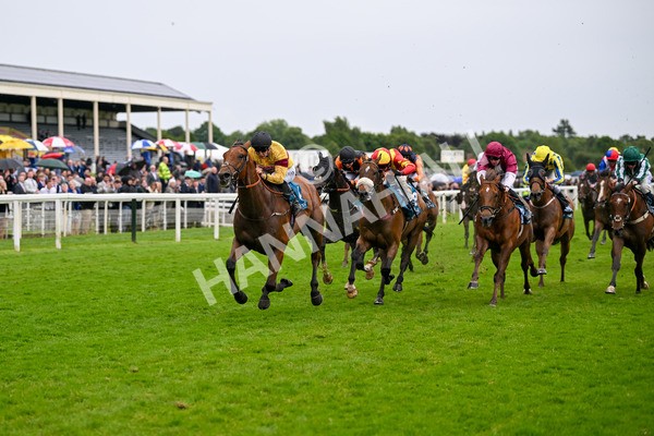 150624-Race 6-Pisanello-7992 - Race 6 4.45pm Ice Co Supporting Macmillan Handicap