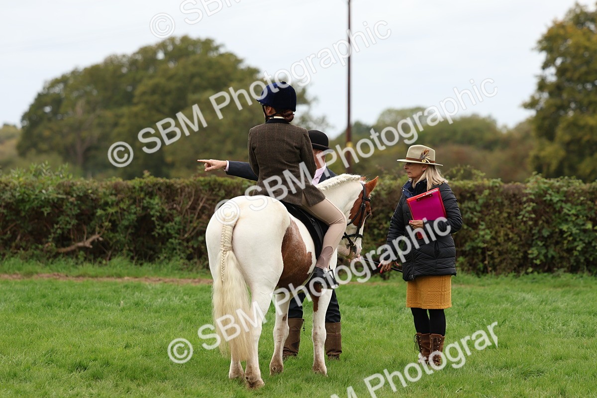 SBM_64527 - S58 - Coloured Pony Ridden