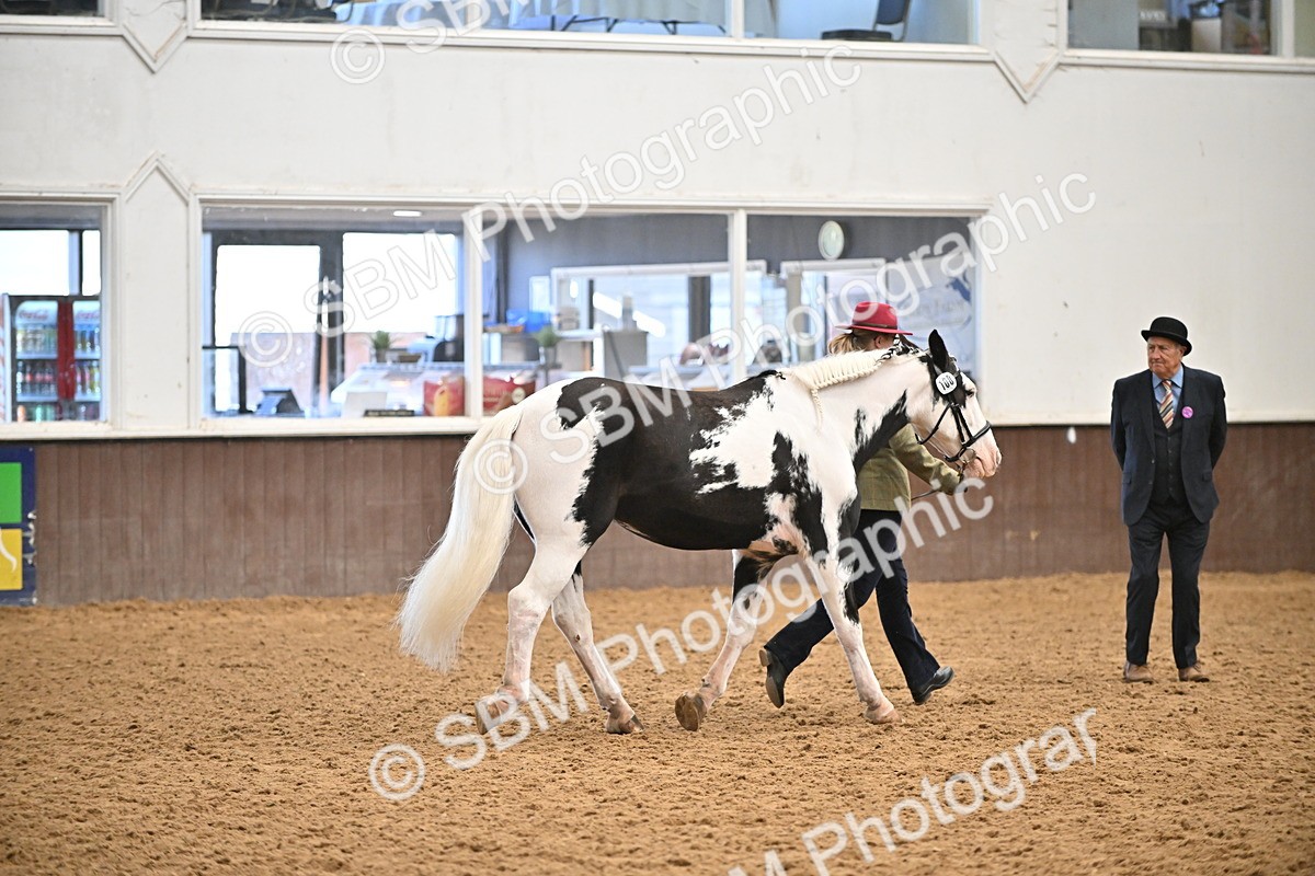 SBM_000295 - Class 10 - In Hand Coloured & Odd Coloured