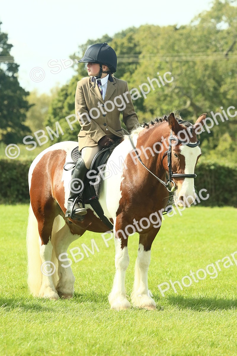 SBM_67571 - S56 - Coloured Pony Ridden