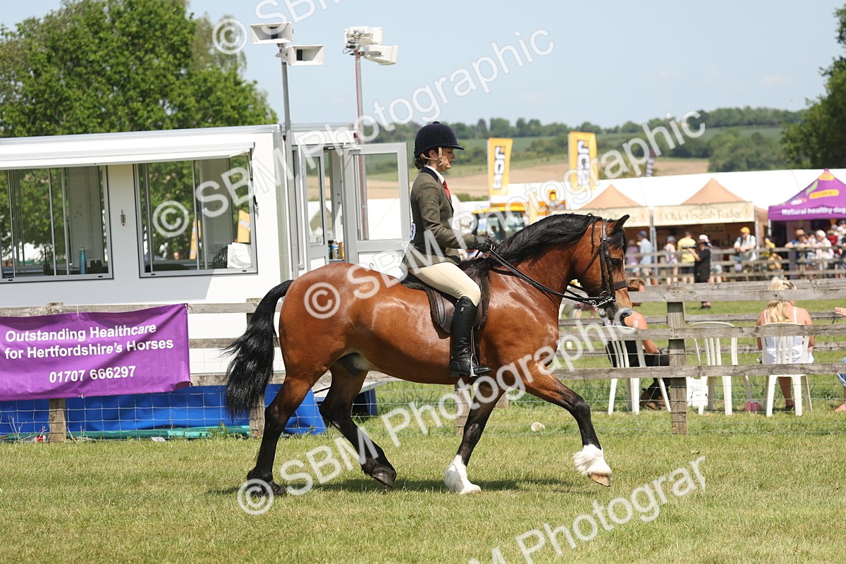 SBM_06900 - Class 26-30 - Mountain and Moorland Ridden