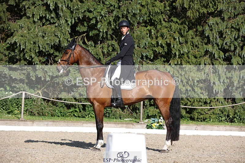 230526-174359-08021 - 180-GUEULE_DE_REVE-Arthur_Duffort-WEDTrotUp+DR