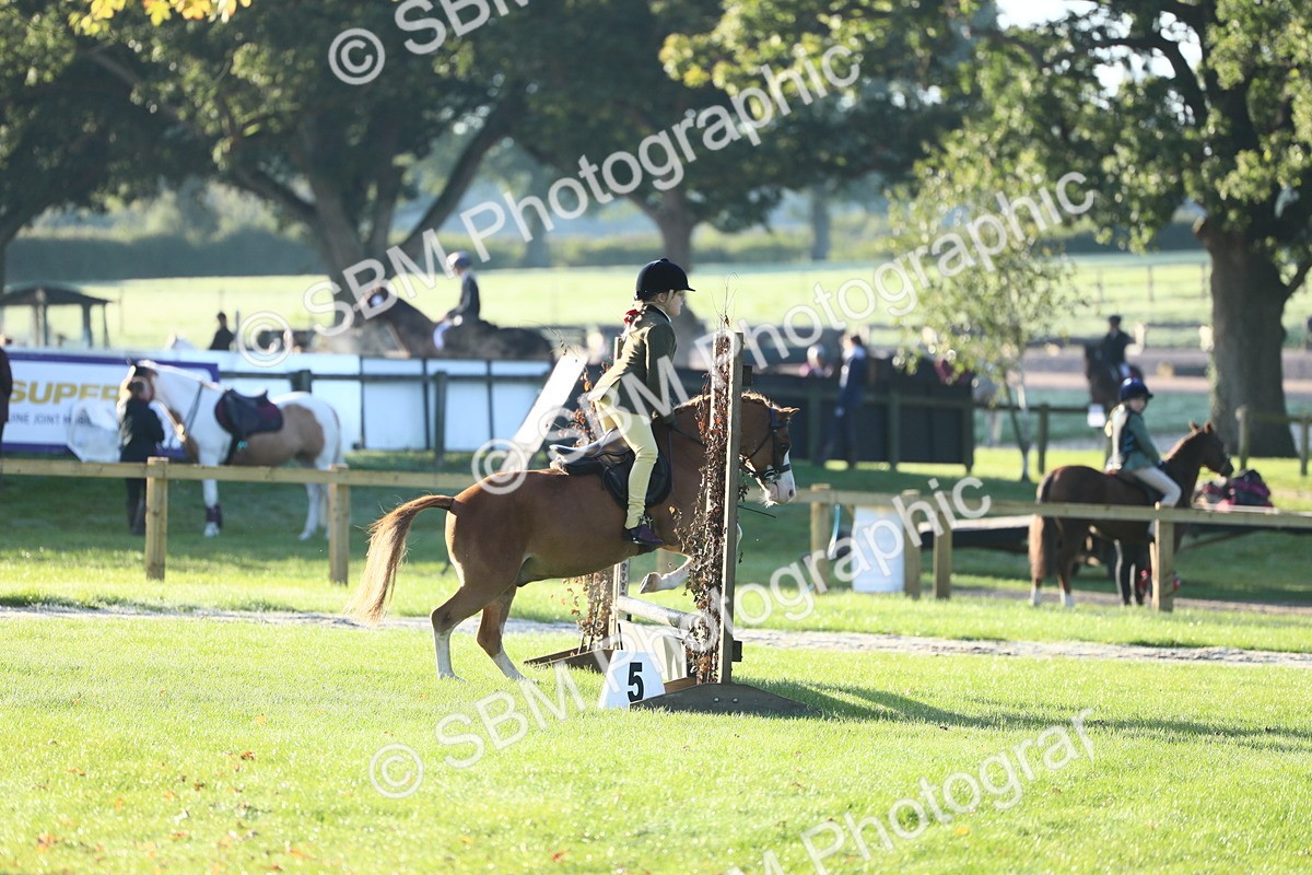 SBM_31817 - S28 - Nursery Stakes Working Hunter Pony