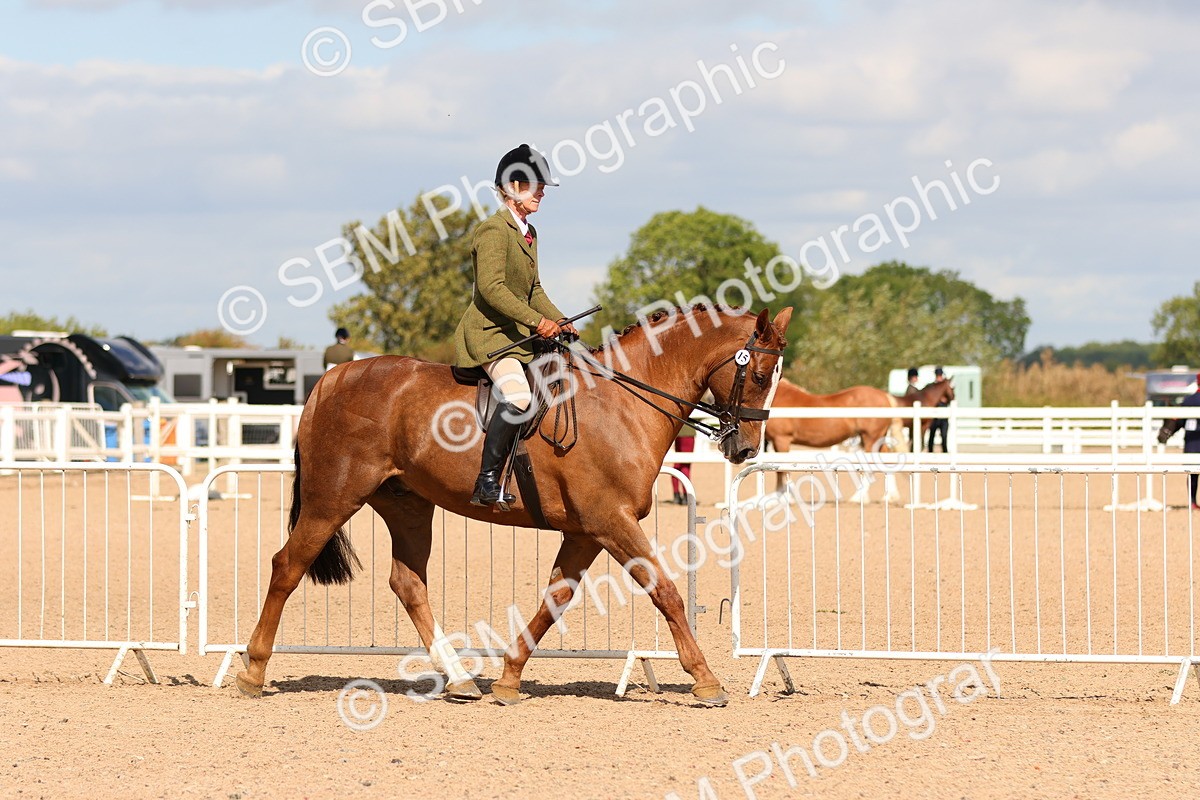 SBM_13186 - Class 211 - Ridden Hunter - Small