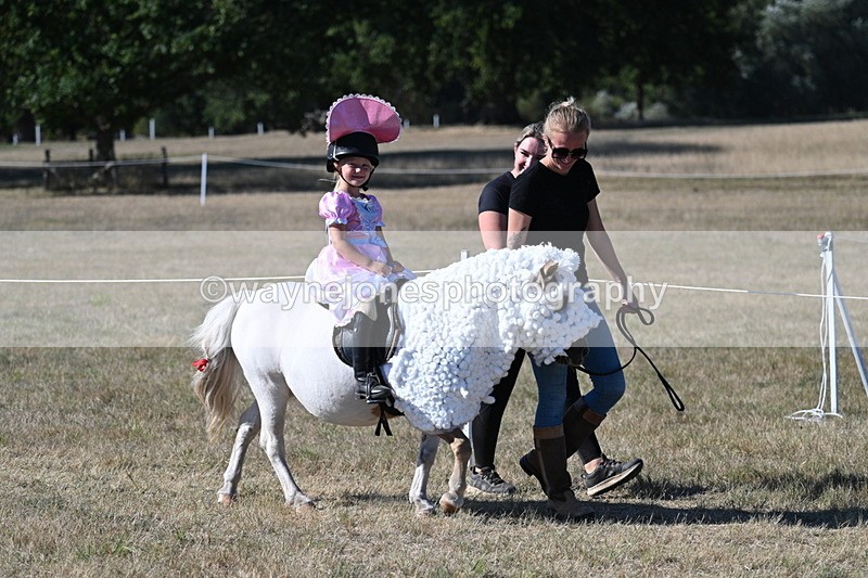 WJ7_2419 - Class 45 Fancy Dress (My Fav)