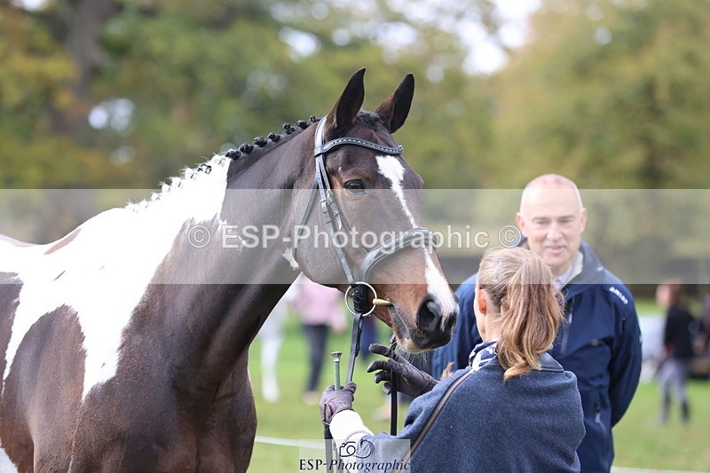 251026A-121243-25957 - F-419-Helen.du.Heaume