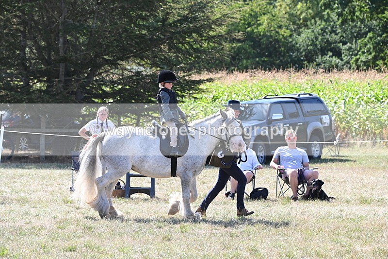 WJ6_7912 - Class 36 Lead Rein