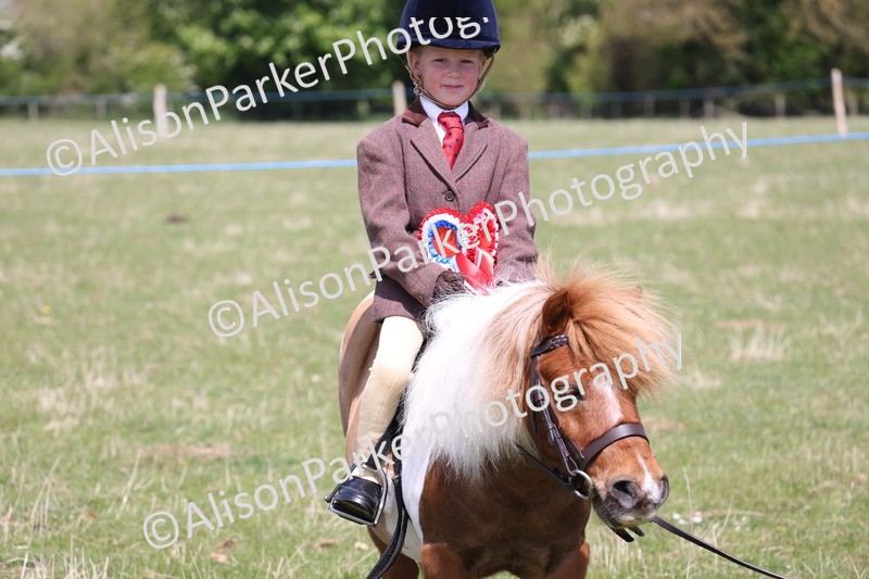 20250427-3331 - Small Pony Championship