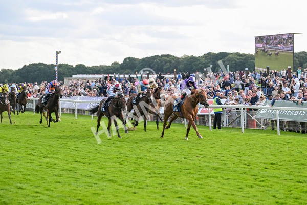 230824-Race 6-Angelo Buonarroti-9875 - Race 6 4.45pm British Stallion Studs EBF Convivial Maiden Stakes