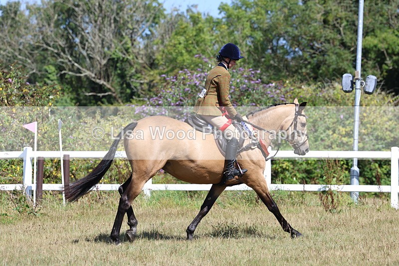 3E7A6504 - Working Hunter Championship
