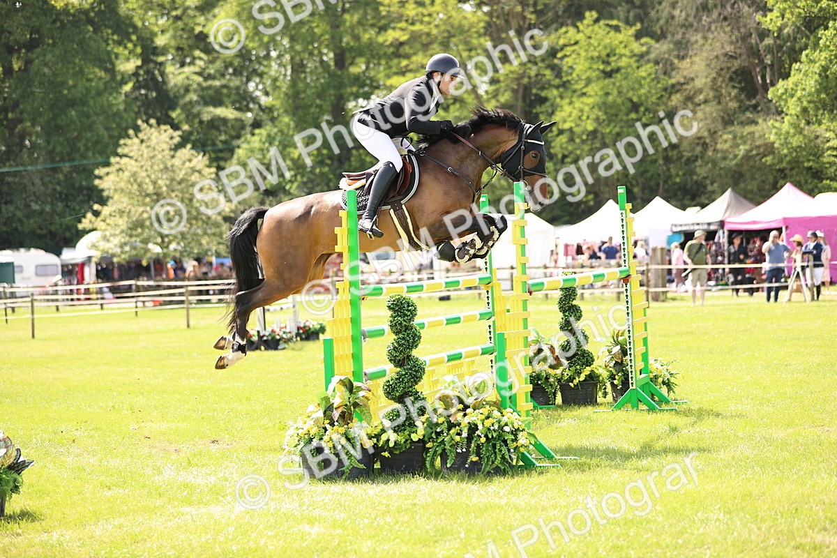 SBM_03260 - Class 201 - British Horse Feedds Speedi Beet HOYS Grade C