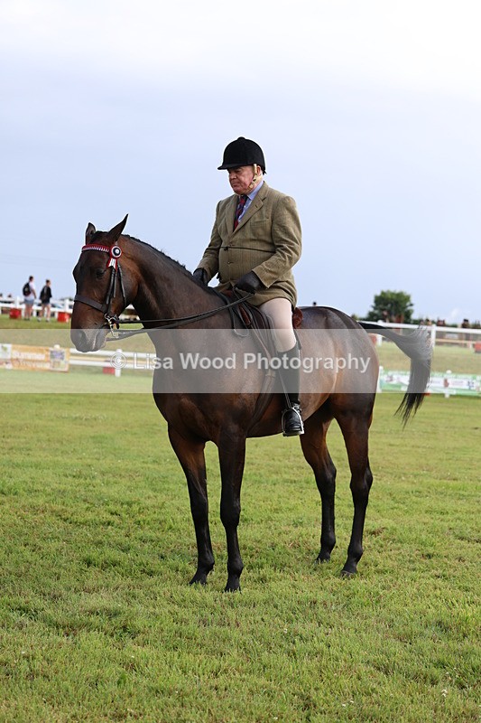 3E7A8185 - Class 2: Rising Star Large Hack/Riding Horse