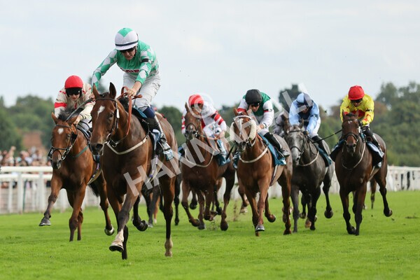 yr04092022r6-30 - Race 6 4.40pm Hanson Springs Stakes