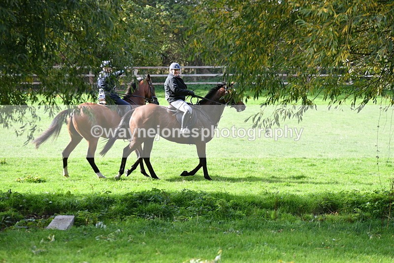 WJ5_8029 - Time 10:31 to 12:01