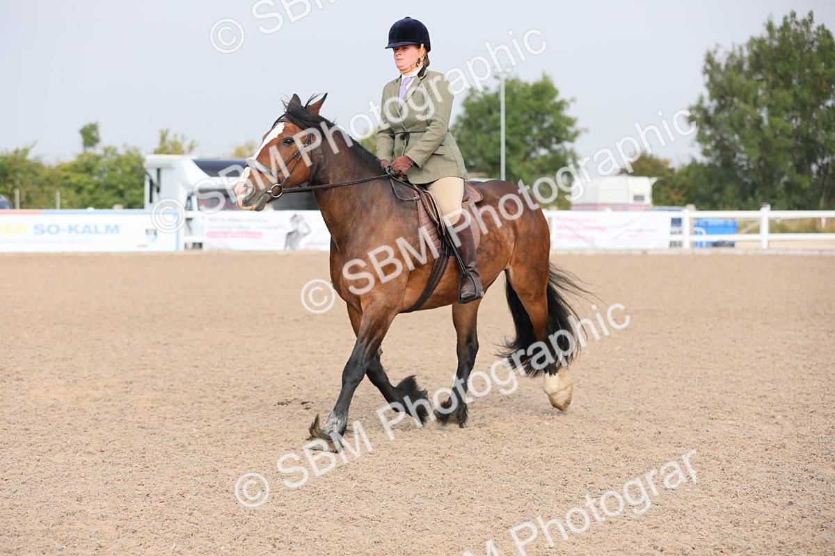 SBM_10881 - Class 304 Ridden Part Bred Horse/Pony