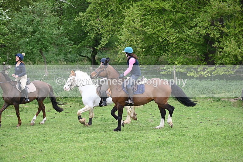 WJ6_3118 - A camera
