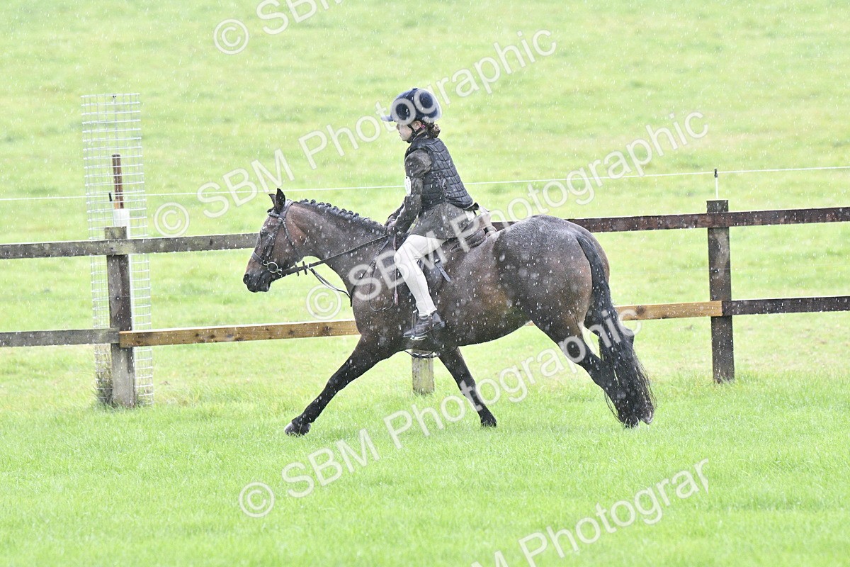 SBM_35527 - S30 - Nursery Stakes Working Hunter Pony