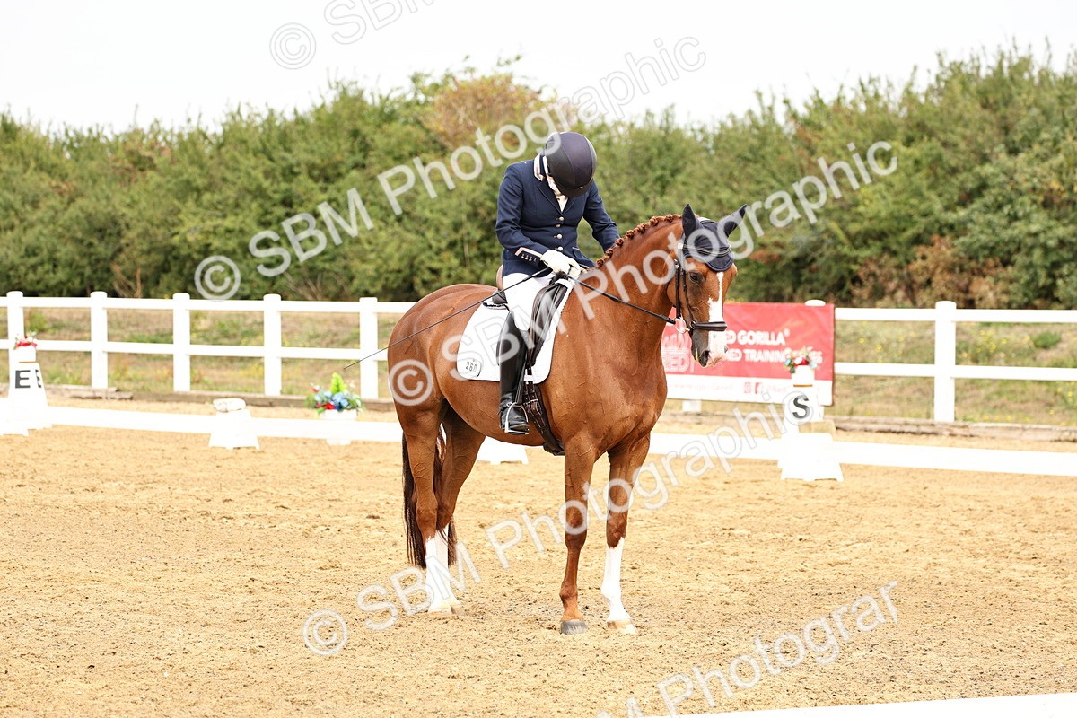 SBM_012312 - Class 2 - Prelim 5