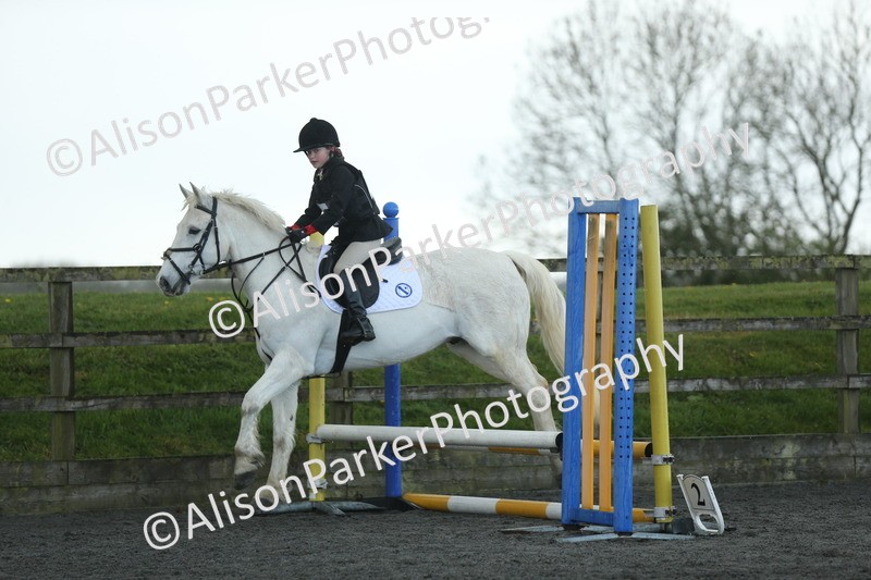 20260412-1925 - Show Jumping