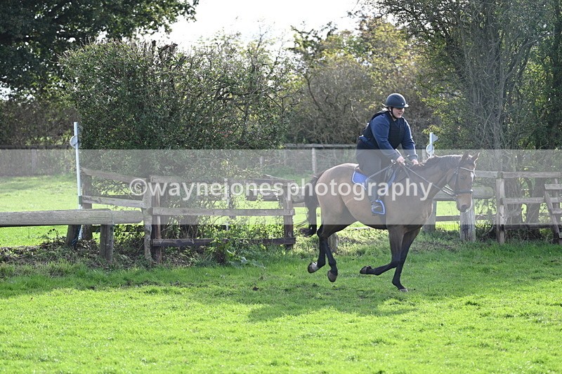 WJ7_0964 - Time 14:27 to 15:11