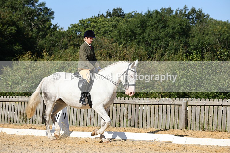 1X9A7712 - Class 9: Open Ridden Hunter