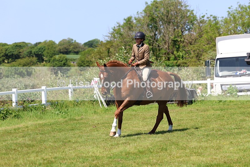 3E7A8345 - Class 13: Ridden Hunter