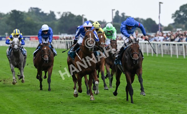 230825-248 Revival Power - Race 6 4.45pm Julia Graves Roses Stakes