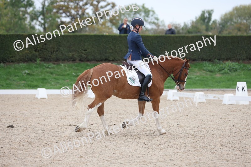 20251011-0350 - Class 3 - Prelim 2