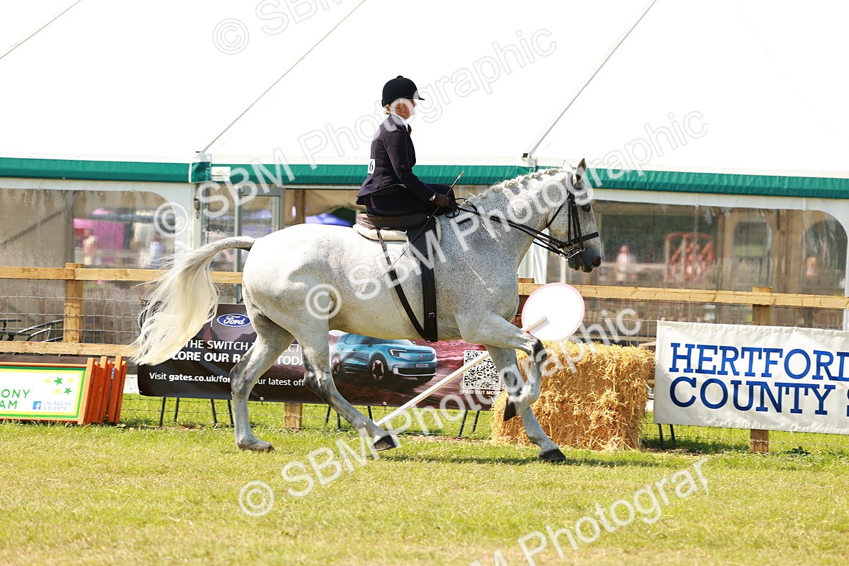 SBM_13369 - Class 70-71 - Side Saddle