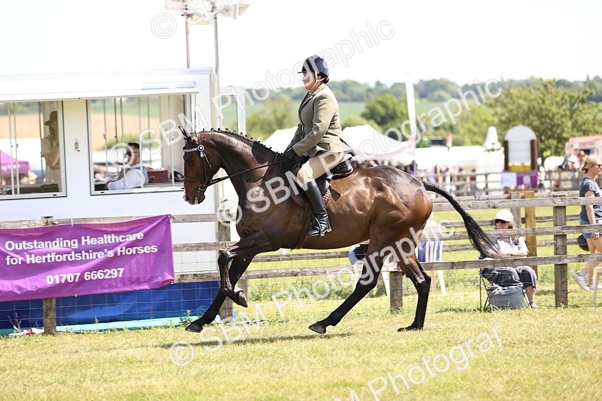 SBM_14917 - Class 78 - LIHS BSHA Open Racehorse & Show Horse