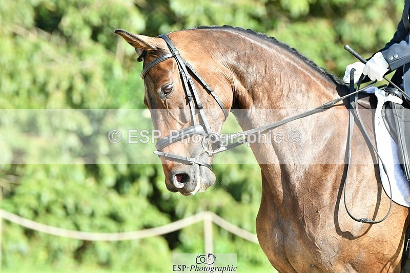 230623-175116-01630 - Cls 8 Medium 73Q