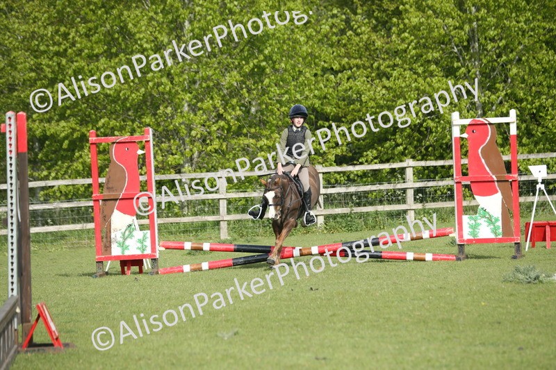 20260426-0029 - Class 13 - Rookie Jumping 50cm