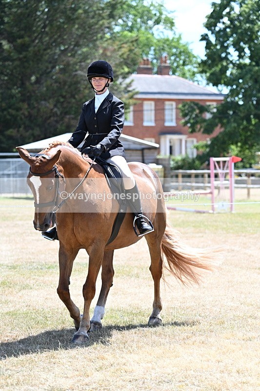WJ7_2827 - Class 7 Riding Club Show Horse