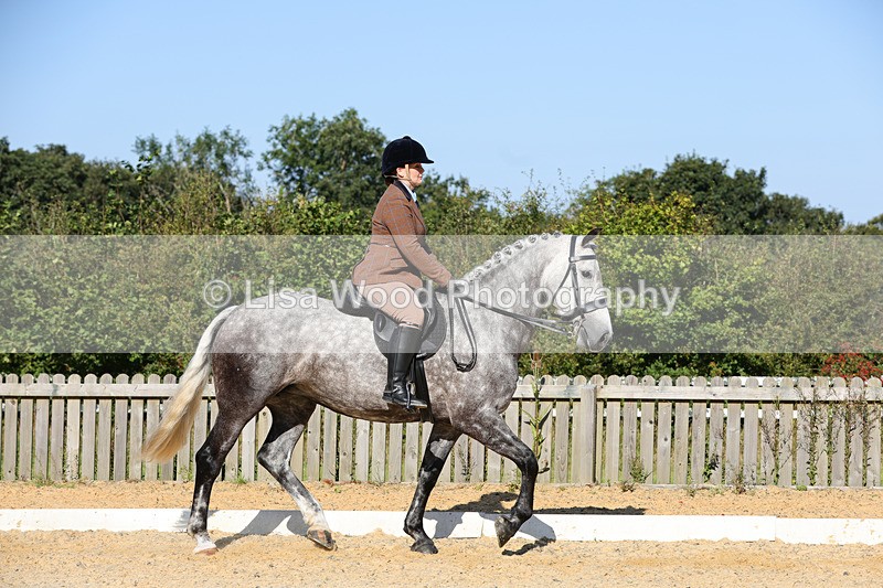 1X9A7724 - Class 9: Open Ridden Hunter