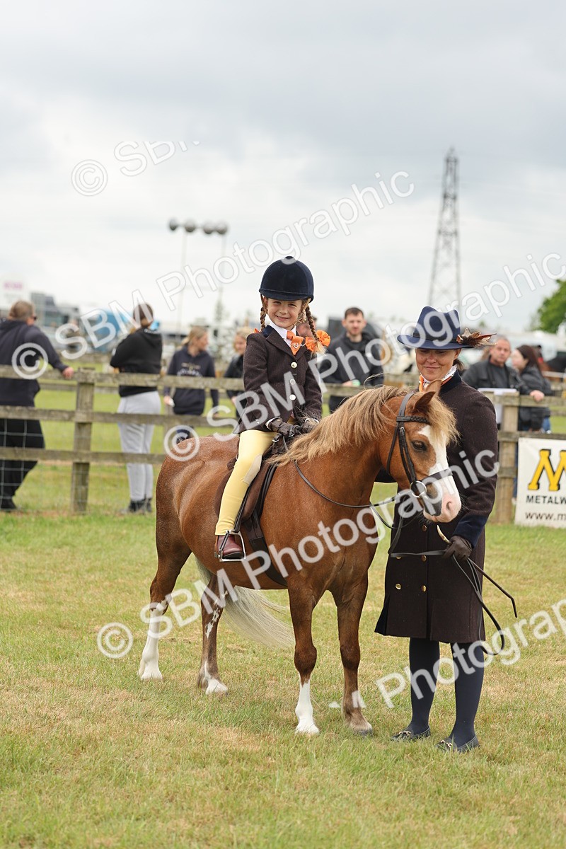 SBM_06769 - Class 74-75 - M&M Lead Rein and First Ridden Pony