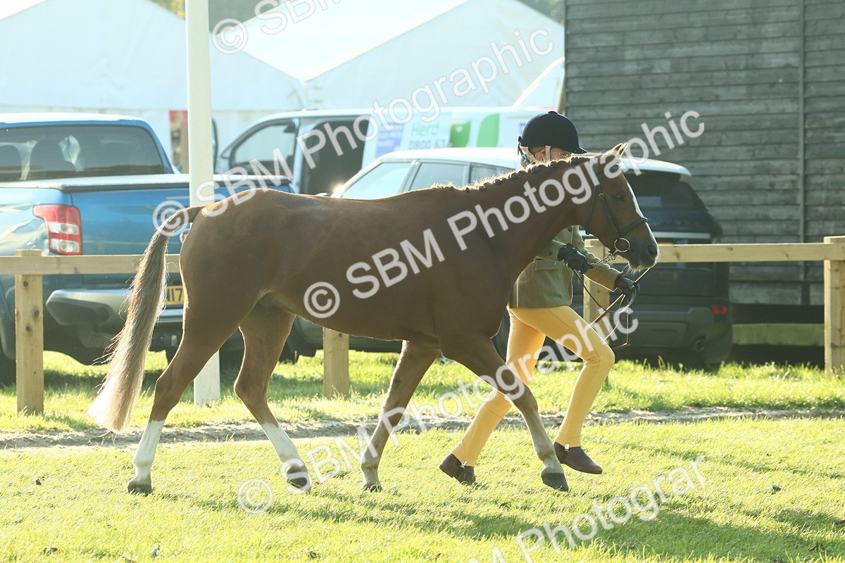 SBM_57408 - S37 - Starters In Hand Showing