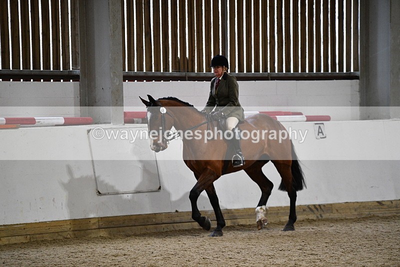 WJ5_8999 - Class 15 Ridden Show Horse