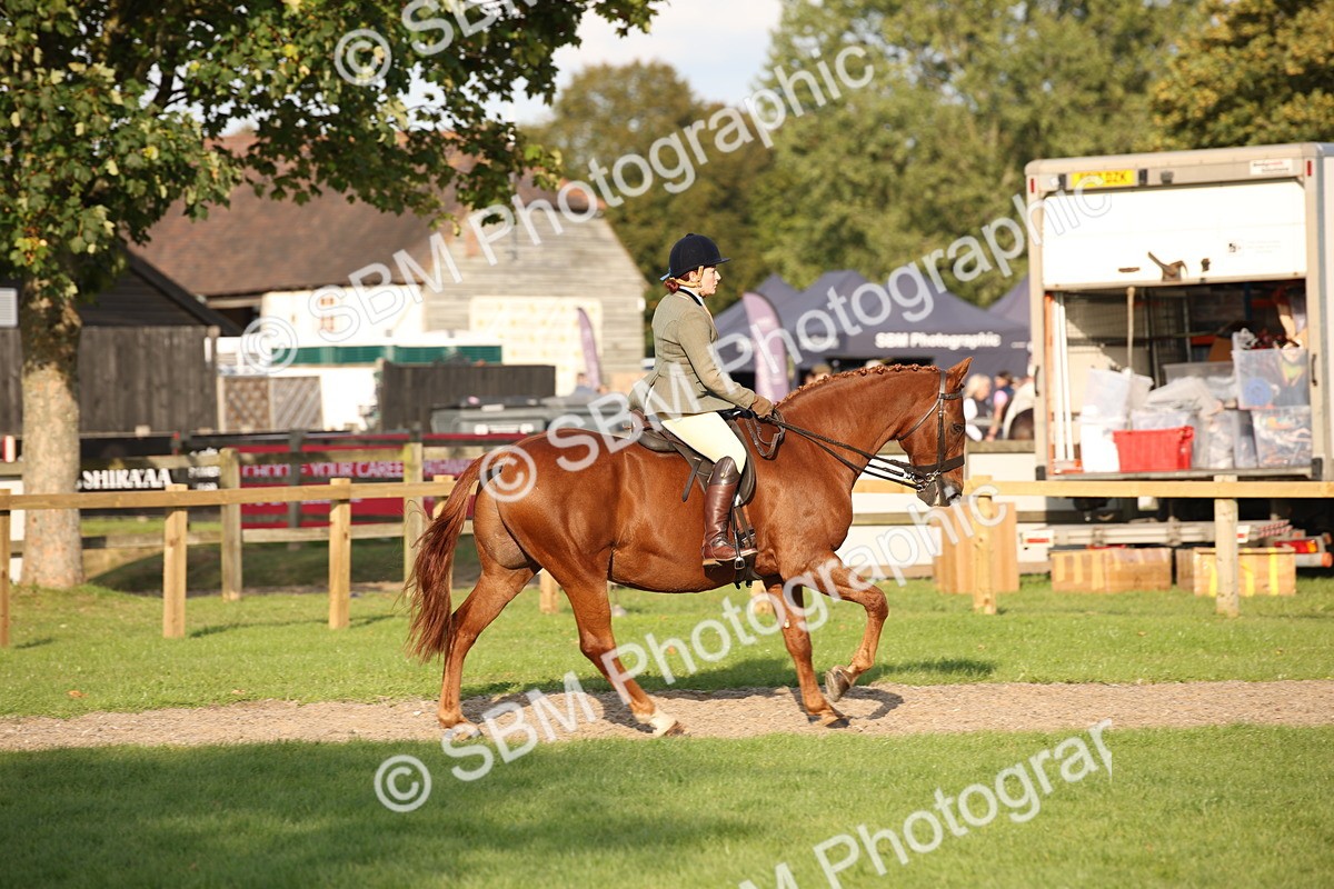 SBM_54312 - S27 - Mature Veteran - Ridden