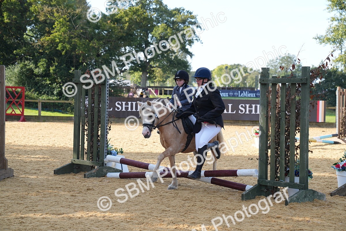 SBM_61248 - J1 - Mini Tour Junior Pony Lead Rein 30cm Championship
