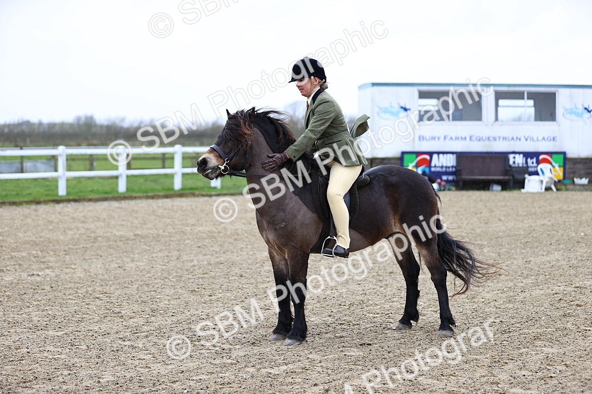 SBM_007472 - Class 31-32 - M&M Confined Novice Small-Large