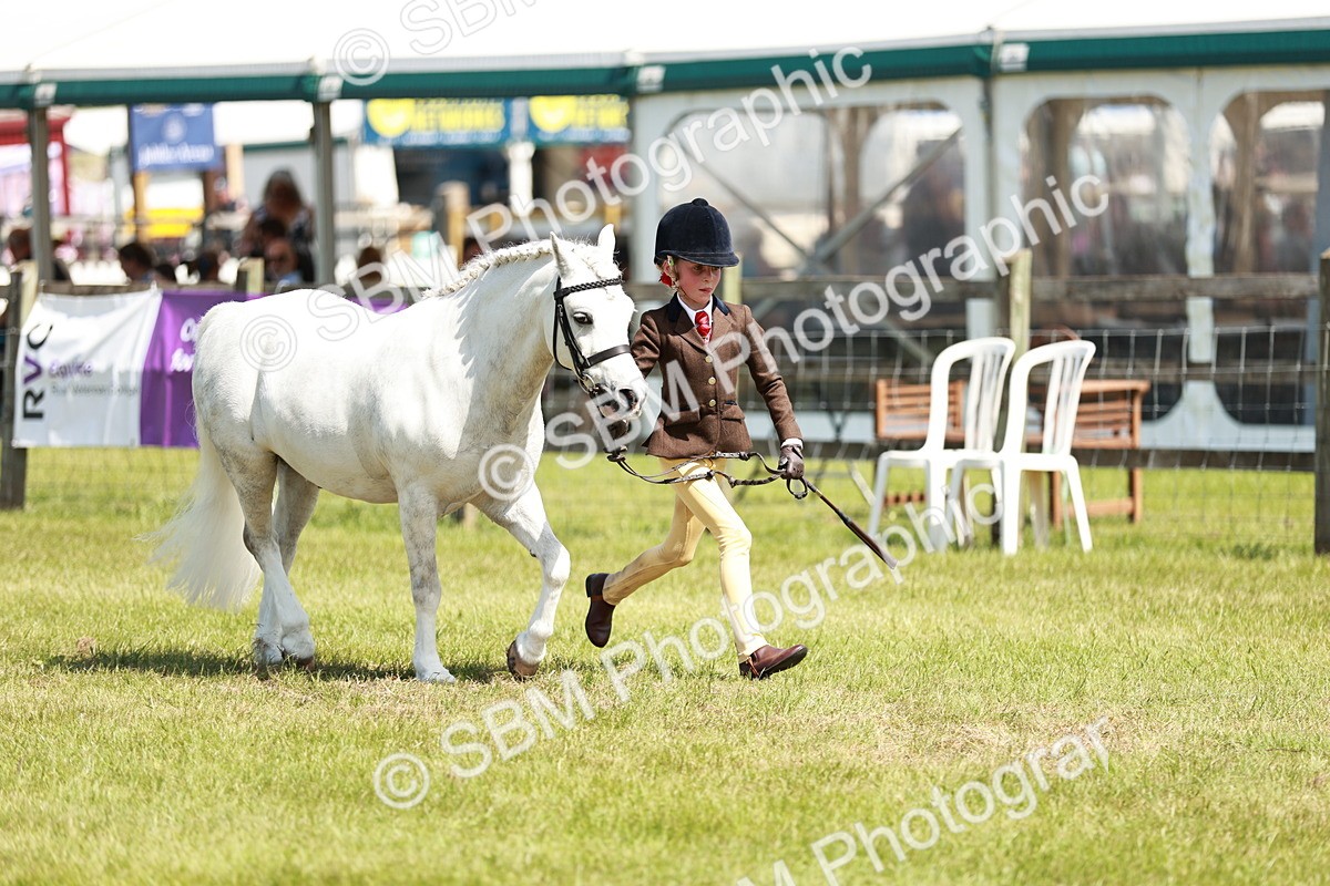 SBM_13581 - Class 108-109 - BSPS LIHS Open Gradle & Nursery Stakes