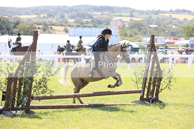 JPP_2202 - Class 20: Tiny Tots Working Hunter Pony