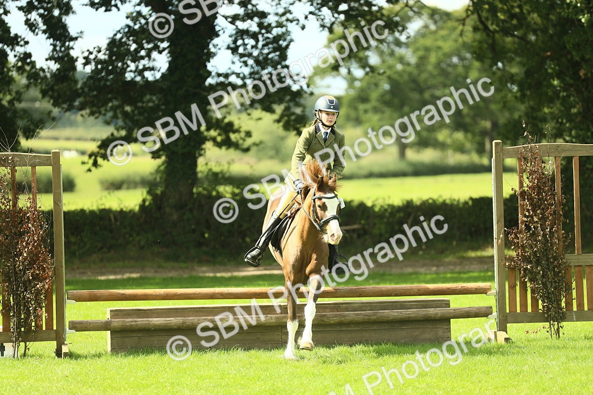 SBM_42841 - S30 - M&M Working hunter Pony